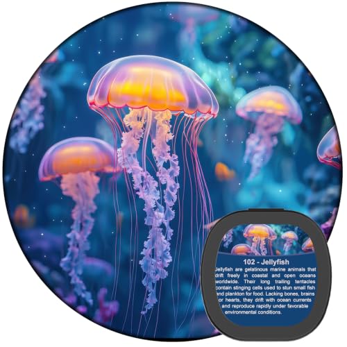 Sunbox Ocean-Themed Galaxy Projector Replacement Discs 6-Pack 4K HD