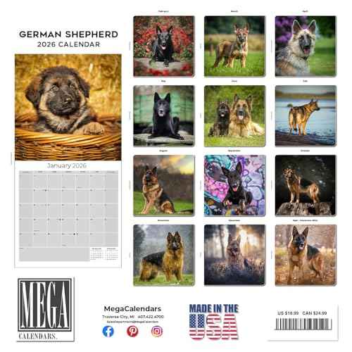 2025 2026 German Shepherd Calendar - Dog Breed Monthly Wall Calendar - 12" x 24" Open - Thick No-Bleed Paper - Giftable - Academic Teacher's Planner Calendar Organizing & Planning - Made in USA