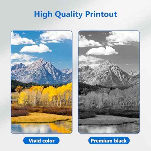 LC401XL Ink Cartridges Compatible for Brother Ink Cartridge LC 401XL Color Standard Yield Work with Brother Printer MFC-J1010DW MFC-J1170DW MFC-J1012DW 2 Black