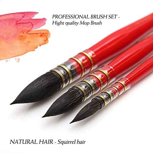 Dainayw Professional Watercolor Paint Brushes, Mop Round Squirrel Hair Paint Brush Set for Art Painting, Gouache, Artist Quality Supplies Red Handle (3 Brushes)
