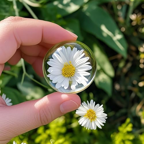 6 Pack 1.6 Inch Crystal Dome Magnifying Paperweights for Outdoor Events, Reading & Decor