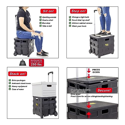 dbest Products Quik Cart Sport Collapsible Rolling Crate on Wheels - Black, 80L Capacity