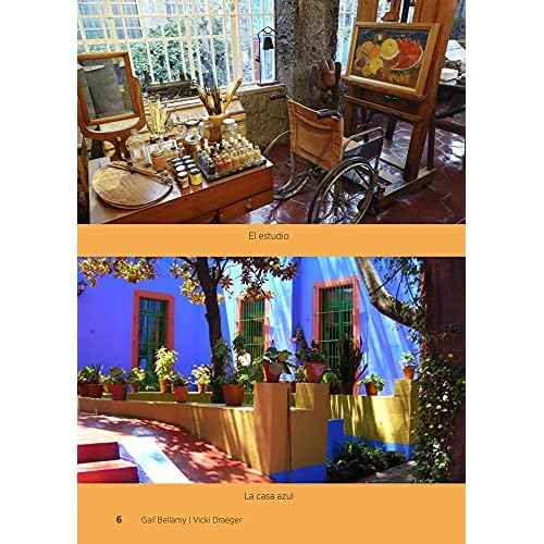 Teacher's Discovery Frida Soy complicada Spanish Level 3 Reader