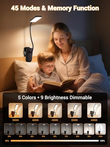 ReinHoo Black Clip-On Rechargeable Desk Lamp with 45 Lighting Modes