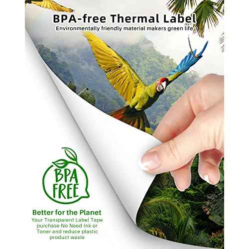 Phomemo US Letter Thermal Printer Paper, Advanced Thermal Printing, Phomemo Paper Compatible with TATTMUSE M08F-Letter, M832, M834, MT800/A285M Portable Printer, 8.5" x 11", 200 Sheets