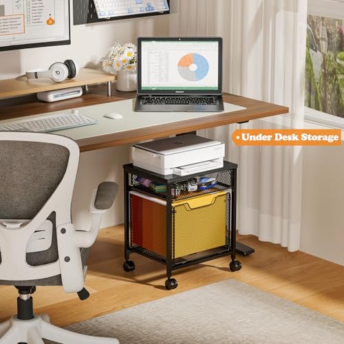 Black Small Rolling File Cabinet Cart with 2 Drawers, Lockable Wheels & Under-Desk Printer Stand