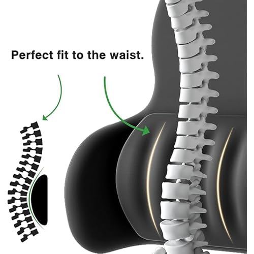 2025 Upgrade Lumbar Support Pillow for Office Chair Car Back Support Pillow 45D Slow Rebound Memory Foam Gaming Chair Desk Chair Back Cushion for Lower Back Pain Relief Dynamic Support Module
