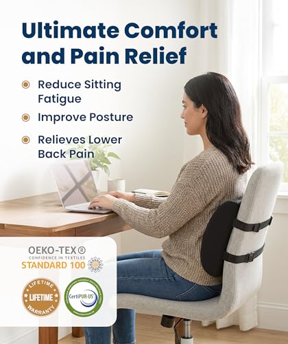 Everlasting Comfort Lumbar Support Pillow for Office Chair & Car - Black Mesh