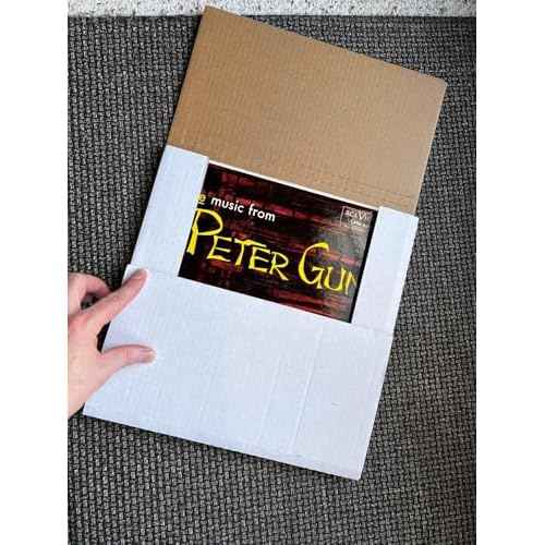 Vinyl Record White LP Shipping Boxes Set 12.5" x 12.5" x 1" Record Mailers Corrugated Cardboard Boxes Album Paper Box (15)