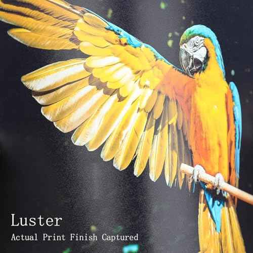 Koala Premium Photo Paper 13x19 In Luster Photo Printer Paper for Inkjet Printer Water-Resistant Soft Gloss 66lb 50 Sheets