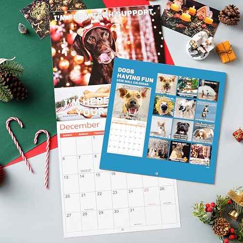 2026 Wall Calendar - JAN 2026 - DEC 2026, Funny Dog Calendar 2026, 12" x 24" Opened, 2026 Calendar, 12-Month Calendar, Funny Dog Memes Pics