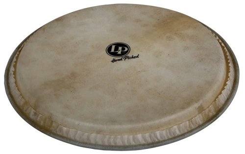 Latin Percussion LP960 14-Inch Galaxy Djembe Head