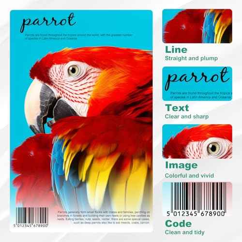542 Ink Refill Bottles Color Combo Pack Replacement for 542 Ink Refill Bottles Use with ET-5850,ET-8550,ET-5150, ET-5800,ET-5880, 542 Pigment Ink (2 Cyan 2 Magenta 2 Yellow)