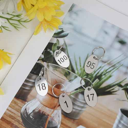Oval Number Tags with Rings, 304 Stainless Steel Key ID Tag, Metal Numbers Keychain Tag Labels - 1 to 100