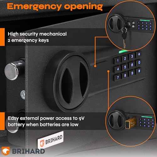 Home Electronic Safe 7.87"H x 12.2"W x 7.87"D, Money & Jewellery Lockable Box 0.39 Cubic Feet, Compact SafetyBox with Digital Keypad Lock LED Screen, Mini Safe Box for Home