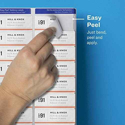 Avery Printable Address Labels with Sure Feed, 1" x 2-5/8", Matte Clear, 300 Blank Mailing Labels (18660)