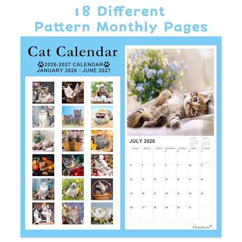 2026-2027 Calendar - 18 Monthly 2026-2027 Wall Calendar from Jan. 2026 - Jun. 2027, Cat Calendar with Unruled Blocks, 12" x 24"(Open) Wall Calendar for Office School Home Planning