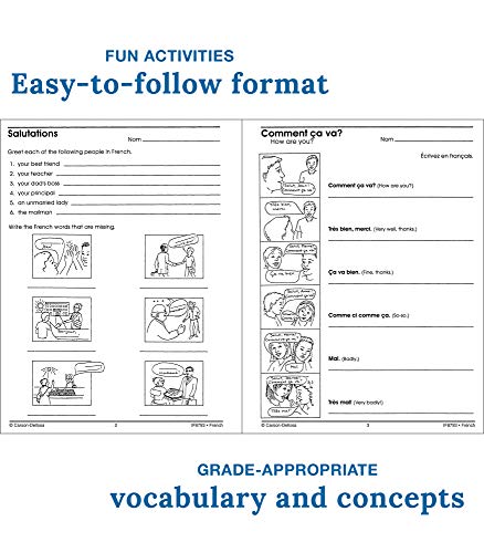 French Workbook for Middle & High School - Parts of Speech, Vocabulary & Sentence Building