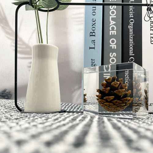 Acrylic Cube Paperweight with Decorative 3D Preserved Flowers, 2.36'' Cube 12 oz, Brown Pine Cone, Aesthetic Desk Shelf Decor and Good Luck Gift for Her