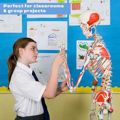 ArtSkills 11¡± x 14¡± Poster Board, Heavyweight White Poster Boards for Vision Boards, School Projects, Presentations, Arts and Crafts, 12-Pack