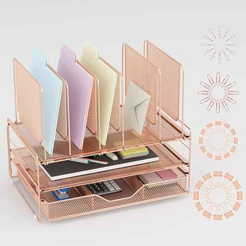 Rose Gold Desk Organizer, Office Organization with Vertical File Holder, File Organizer with Drawer and Office Supplies, Desk Accessories and Workspace Organizers (Rose Gold)