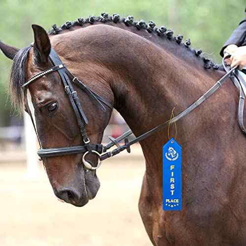 150 Pcs Horse Show Award Ribbons, 1st - 6th Place Flat Carded Set, Participation Ribbon with Event Card and Rope, Winner Recognition Ribbons for Competition, Sports Event, Contest Ornaments