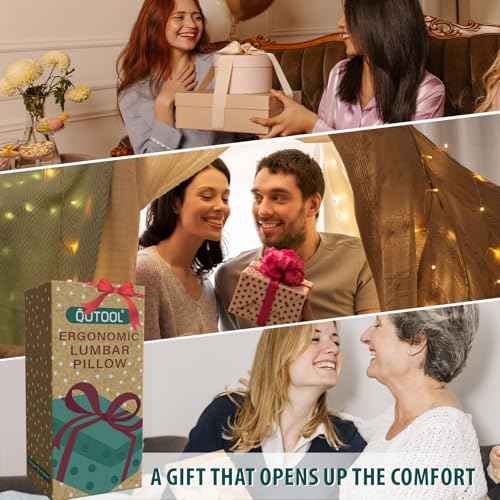 QUTOOL Lumbar Support Pillow with DIY Gift Box - Birthdays Gifts for Women Men, Ergonomic Back Support with Breathable 3D Mesh Cover, Suited for Office Chairs, Gaming Chairs£¬Car, Home Use (Black)