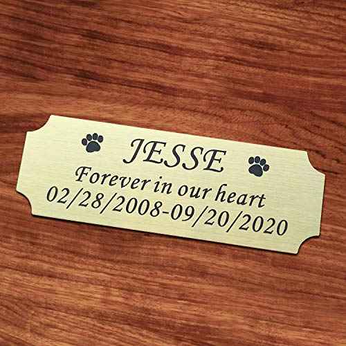 3" W x 1" H Personalized Custom Engraved Brushed Gold Solid Brass Plate Frame Name Label Art Tag for Frames with Adhesive Backing or Screws (Brass)