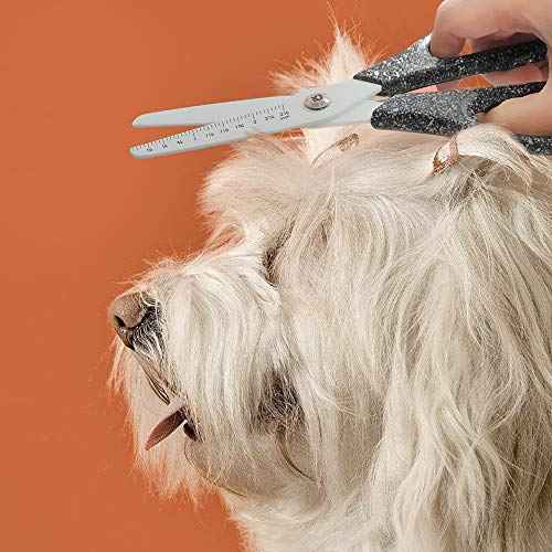 7.8'' Multi Purpose Ceramic Blade Scissors w/Ruler Marking, Blunt Tip Scissors Utility Shears for Kitchen, Craft, BBQ, Pet Care, Sewing, 5 PCS