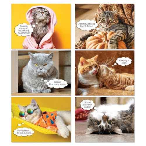 Current 2026 Cattitudes Cat Wall Calendar, 12-Inch x 9-Inch Size Closed, 18-Inch Size Open, Large Bookstore-Quality, Spiral-Bound Hanging Monthly Wall Calendars for Kitchen & Office