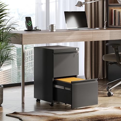 DEVAISE Black Metal File Cabinet with 2 Drawers, Fully Assembled, 17"D x 15"W x 27"H