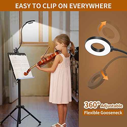iZELL Desk Lamp, LED Reading Light with Clamp, 3 Color Modes & 10 Brightness Flexible Gooseneck Book Light for Kids Reading Book in Bed at Night Clip on Table, Computer, Zoom Meetings - 27.6¡®¡¯ Black