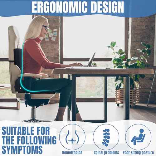 BALAPET Lumbar Support Seat Cushion,Ergonomic Lumbar Support for Posture Correction Cushion and Tailbone Pain Relief, Foldable and Portable Back Rest Coccyx Pillow for Office Chair,Car,Travel(Black)