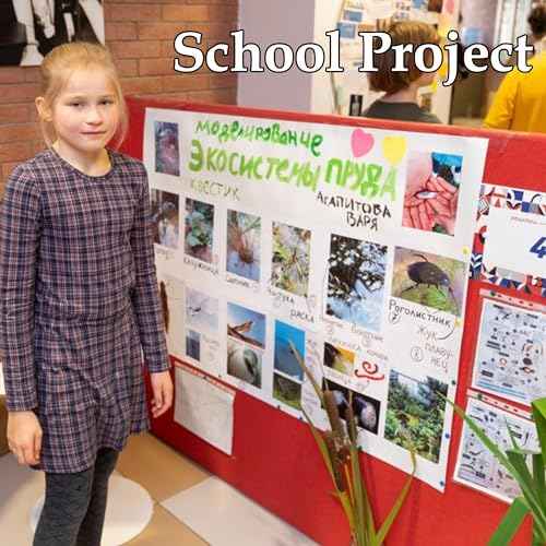 50PCS White Poster Board 22"X28",Value Poster Board for School Craft Project Presentation Drawing Graphic Display,Bulk Board