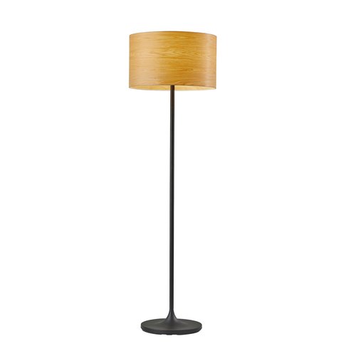 Adesso Floor Lamp with Scratch Proof and Corrosion Resistant Body - Perfect Lighting for Bedroom, Living Room and Corner Decor, Matte Black