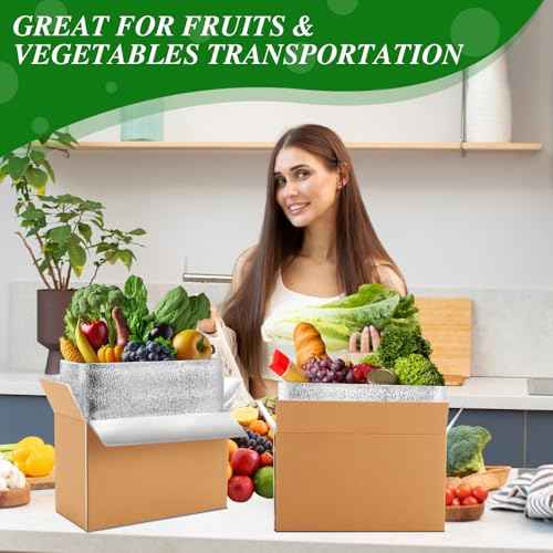 Honoson 4 Pcs Thermal Insulated Shipping Boxes for Frozen Food with Ice Pack and Aluminum Foil Liner for Shipping Big Cold Pack Cooler Mailing Boxes for Moving Hot Frozen Food (12'' X 5.5'' X 7.5'')