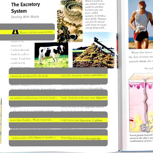 Guided Reading Strips for Students with Dyslexia - Yellow, 32 pcs