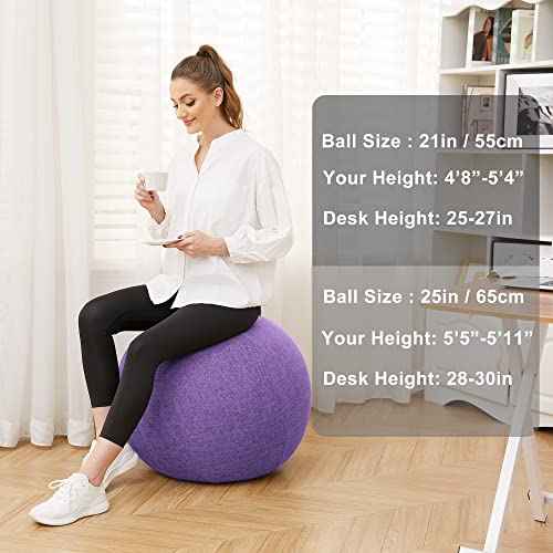 Exercise Ball Chair with Fabric Cover, Standard Size (25inches/65cm), for Home Offices, Balance Training, Yoga Ball