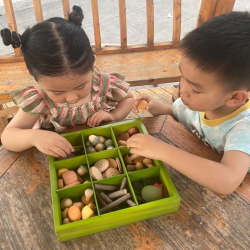 Wooden Sorting & Counting Set with Nature-Themed Pieces and Tray for Kids