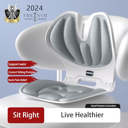CHANGFENG Lumbar Ergonomic Support for Office Chair Back Lumbar Support for Computer, Gaming Chair Back Cushion for Back Pain Relief Improve Posture,and Work from Home, Patented (Gray)