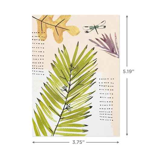 Hallmark Nature Note Card Assortment (48 Blank Cards with Envelopes) Artistic Trees, Leaves, Birds, Rocks