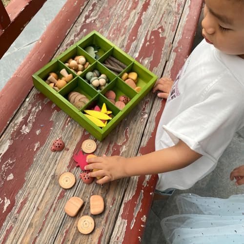 Wooden Sorting & Counting Set with Nature-Themed Pieces and Tray for Kids
