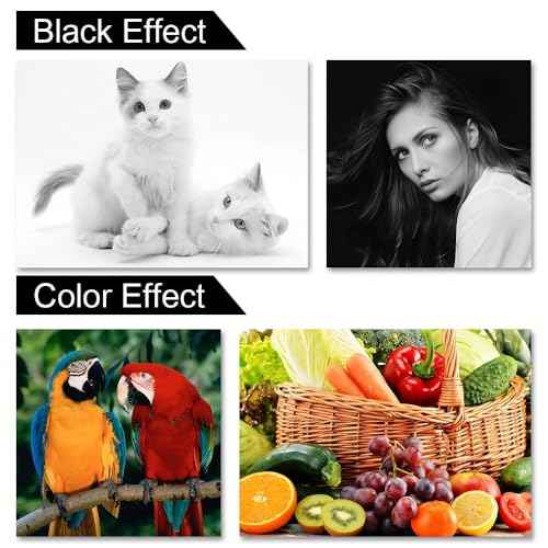 008R13061 Waste Toner Container Box (108R00865) Compatible for Xerox WorkCentre 7525 7835 7556 7830 7530 7845 7855 7425 7525 7530 7535 7428 7435 7970 AltaLInk C8030 C8035 C8055 C8045 C8070 Printers