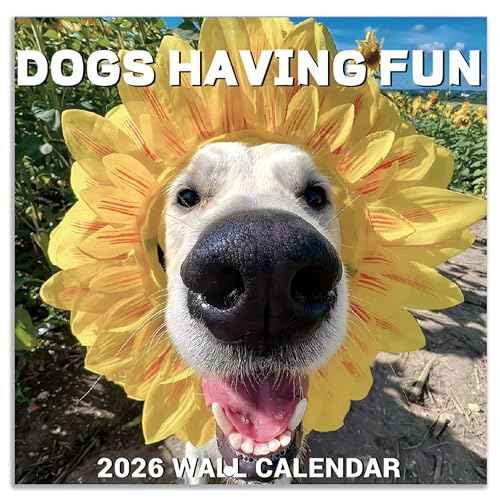 2026 Wall Calendar - JAN 2026 - DEC 2026, Funny Dog Calendar 2026, 12" x 24" Opened, 2026 Calendar, 12-Month Calendar, Funny Dog Memes Pics