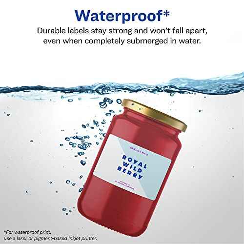 Avery Durable Waterproof Rectangle Labels, Sure Feed Technology, 2" x 4", 250 Total, Oil and Tear-Resistant, Waterproof, Laser/Pigment-Based Inkjet Printable