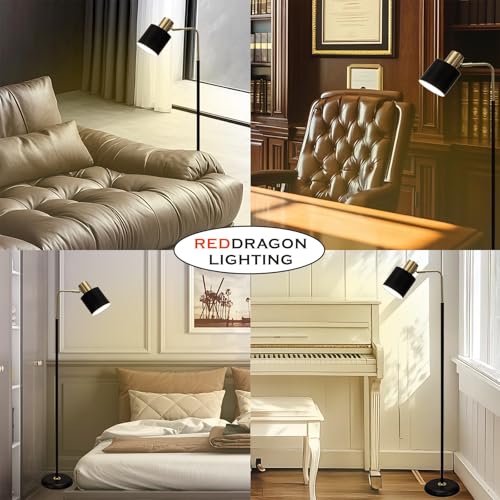 Modern Cordless Floor Lamp Battery Operated with Remote, Black Gold Rechargeable Minimalist Standing Battery Reading Floor Lamp with Metal Shade No Electric Wire for Living Room Bedroom (1 Pack)