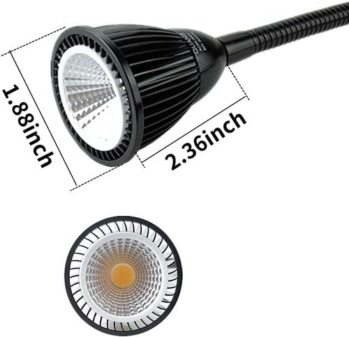QUANS 5W Clip-On Gooseneck COB LED Desk Lamp - Adjustable Warm White Light | 19-Inch Black Design