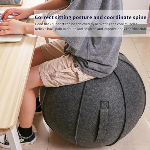 Sitting Ball Chair Cover for Office – AOLIAZMAX Black Gray 65cm