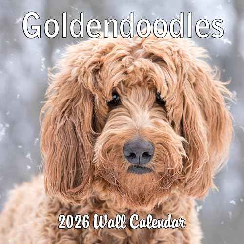 2026 Goldendoodles Monthly Wall Calendar | 12" x 24" | Dogs Calendar September 2025- December 2026
