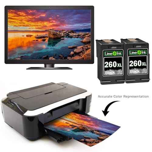 Limeink Compatible Ink Cartridge Replacement for Canon 260 Black Ink Cartridge 260XL for Canon TS6420 TS6400 PG-260 Pixma TS5320 TS5300 (2 Black)